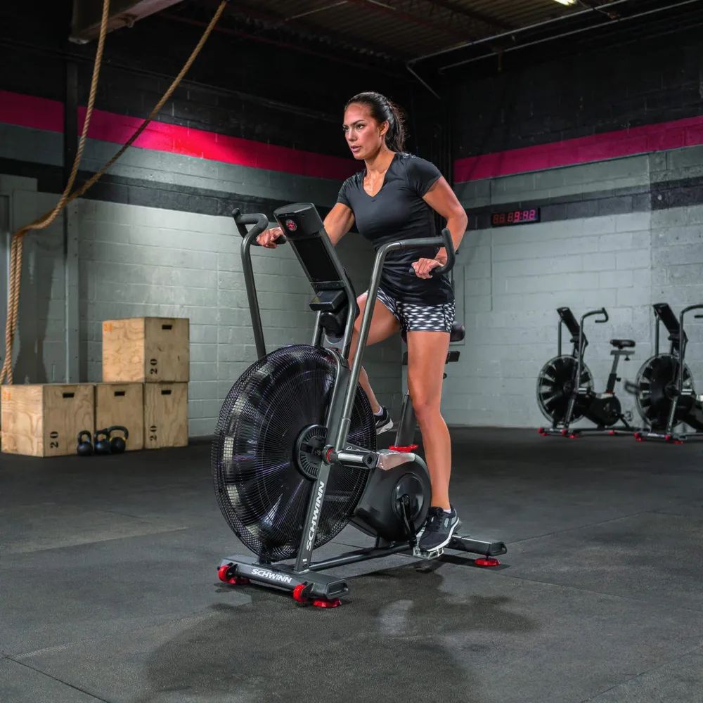 Schwinn® Airdyne® AD8