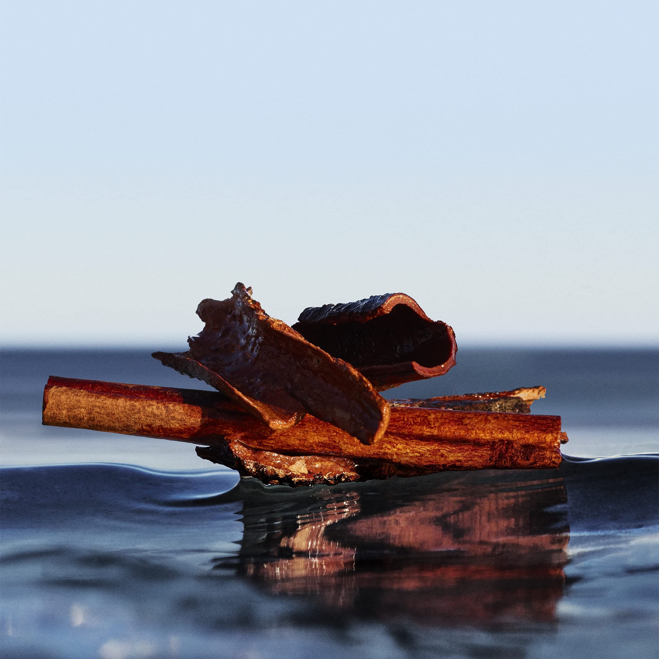 Mehrere Zimtstangen im Wasser. Braune Farbe, raue Textur. Hintergrund: Wasser und Himmel.