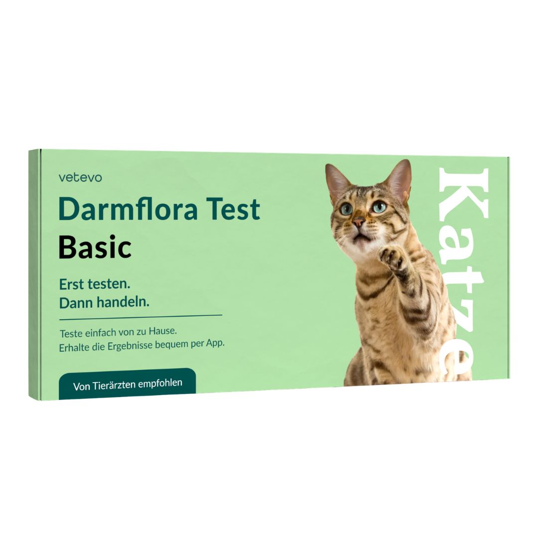 Produktverpackung: Darmflora Test Basic Katze. Mit Katze, Text und Logo. Von Tierärzten empfohlen.