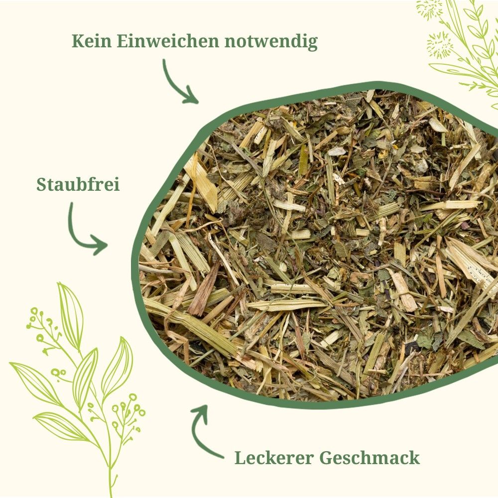 Krauterie Frühlings Kräuter für Pferde