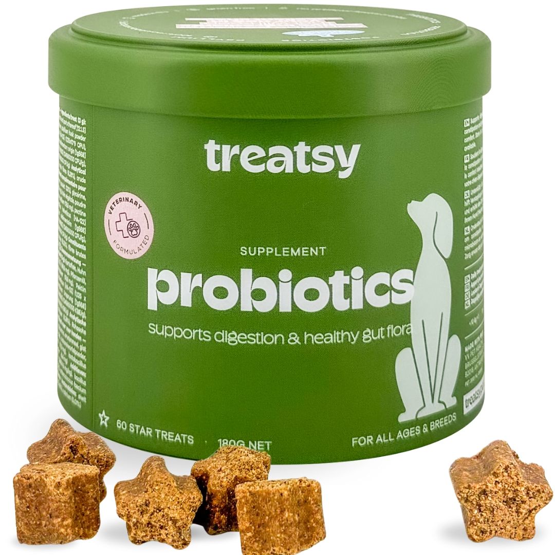 Grüne Dose mit „Treatsy Probiotika“ und Stern-Leckerlis. Enthält 60 Stern-Leckerlis. Für alle Altersgruppen und Rassen.