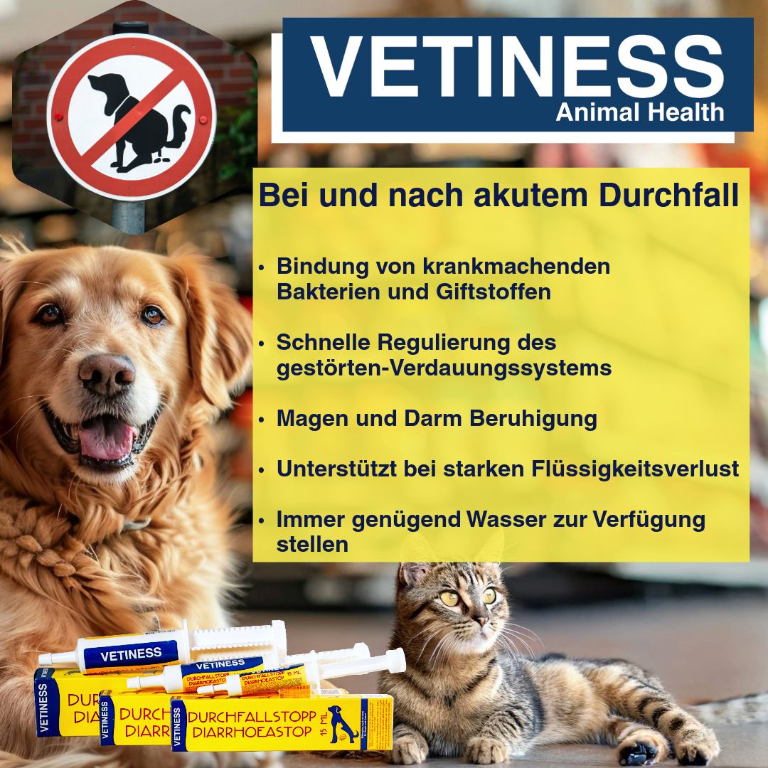 Produktverpackung mit Text: Vetiness, Durchfallstopp, Katze und Hund. Text: Bei akutem Durchfall. Gelbe Textfelder.