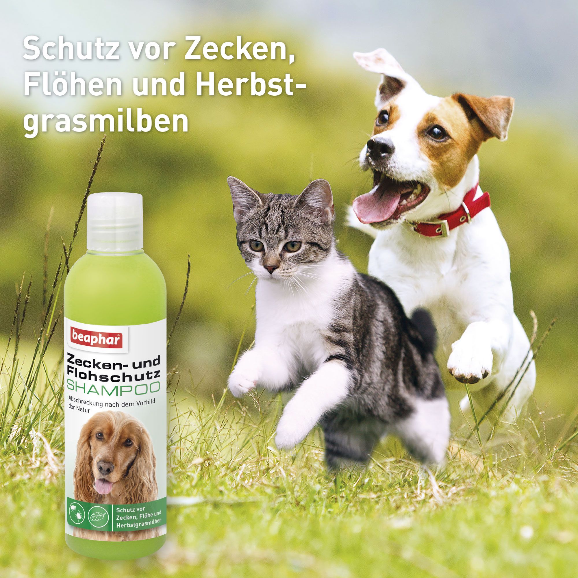 Beaphar Shampoo. Grüne Flasche. Etikett mit Produktname und Hundebild. Katze und Hund im Gras.