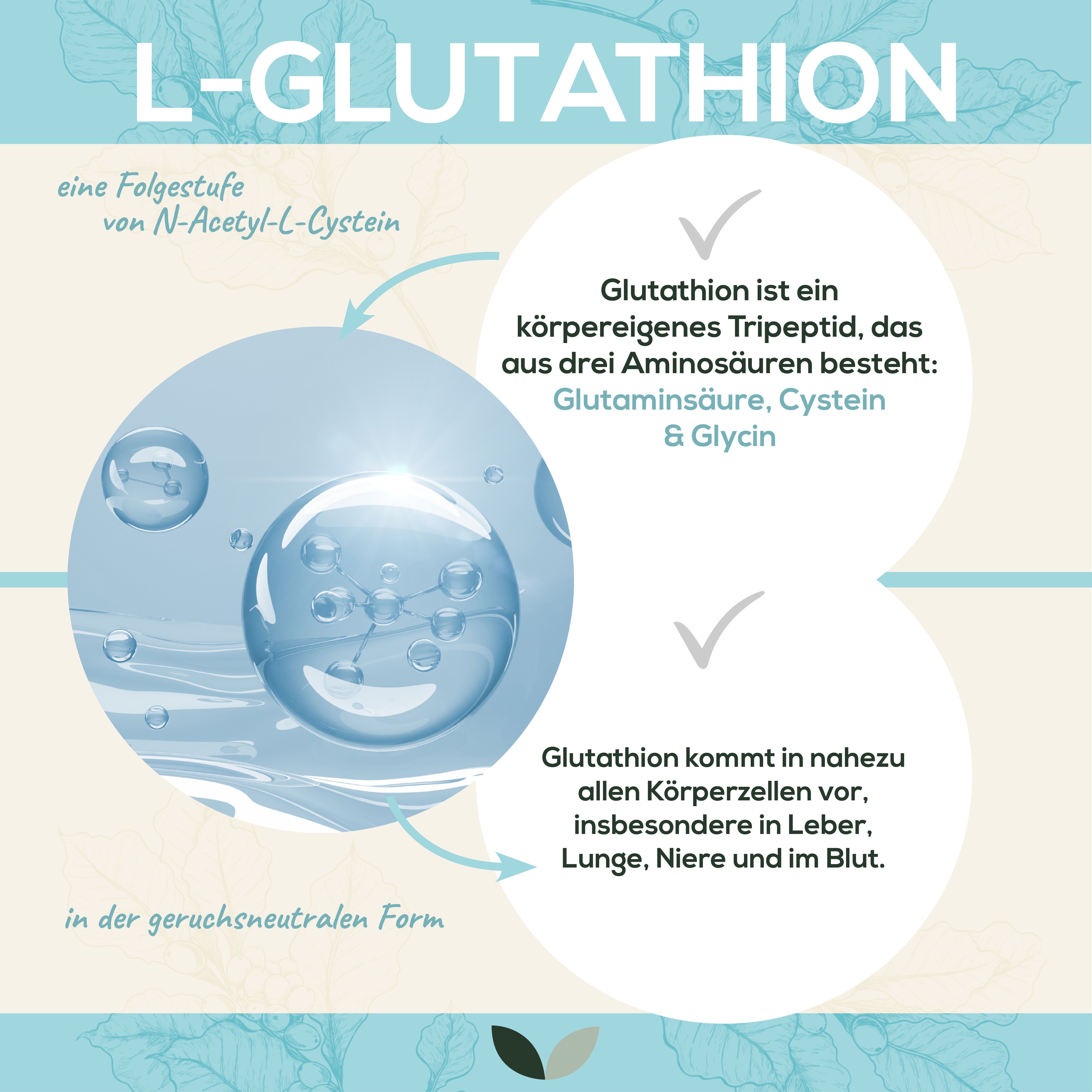 Infografik zu L-Glutathion. Molekülstruktur, Aminosäuren, Vorkommen im Körper. Text: 'in der geruchsneutralen Form'.