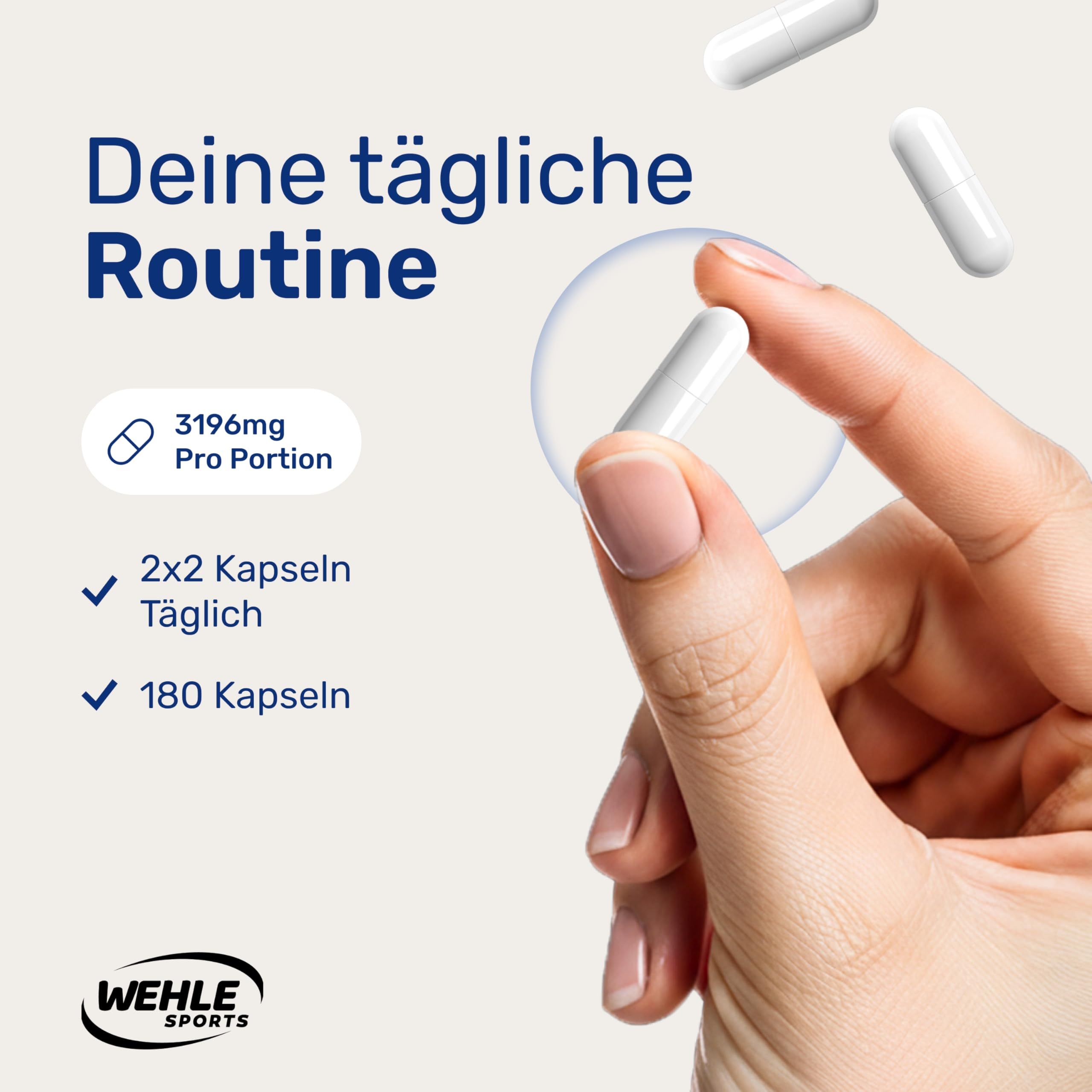 Wehle Sports L-Carnitin Kapseln
