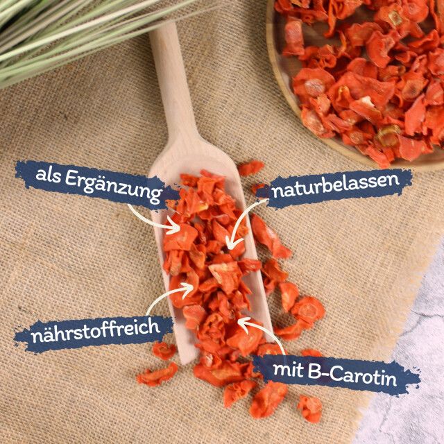 Getrocknete Karottenstücke auf einem Holzlöffel. Text: als Ergänzung, naturbelassen, nährstoffreich, mit B-Carotin.