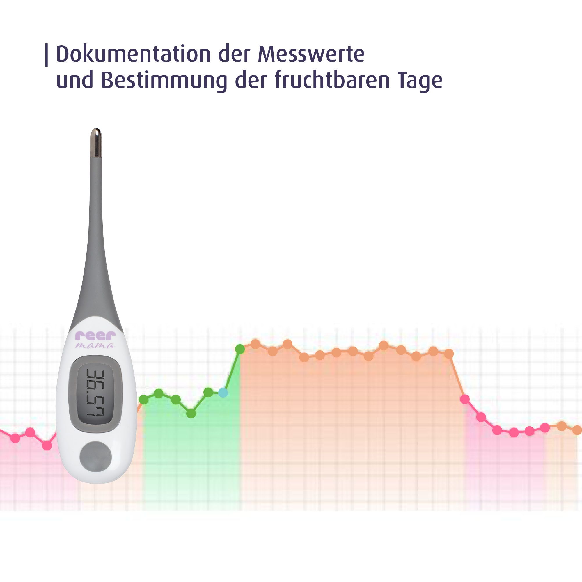reer mama Basalthermomter