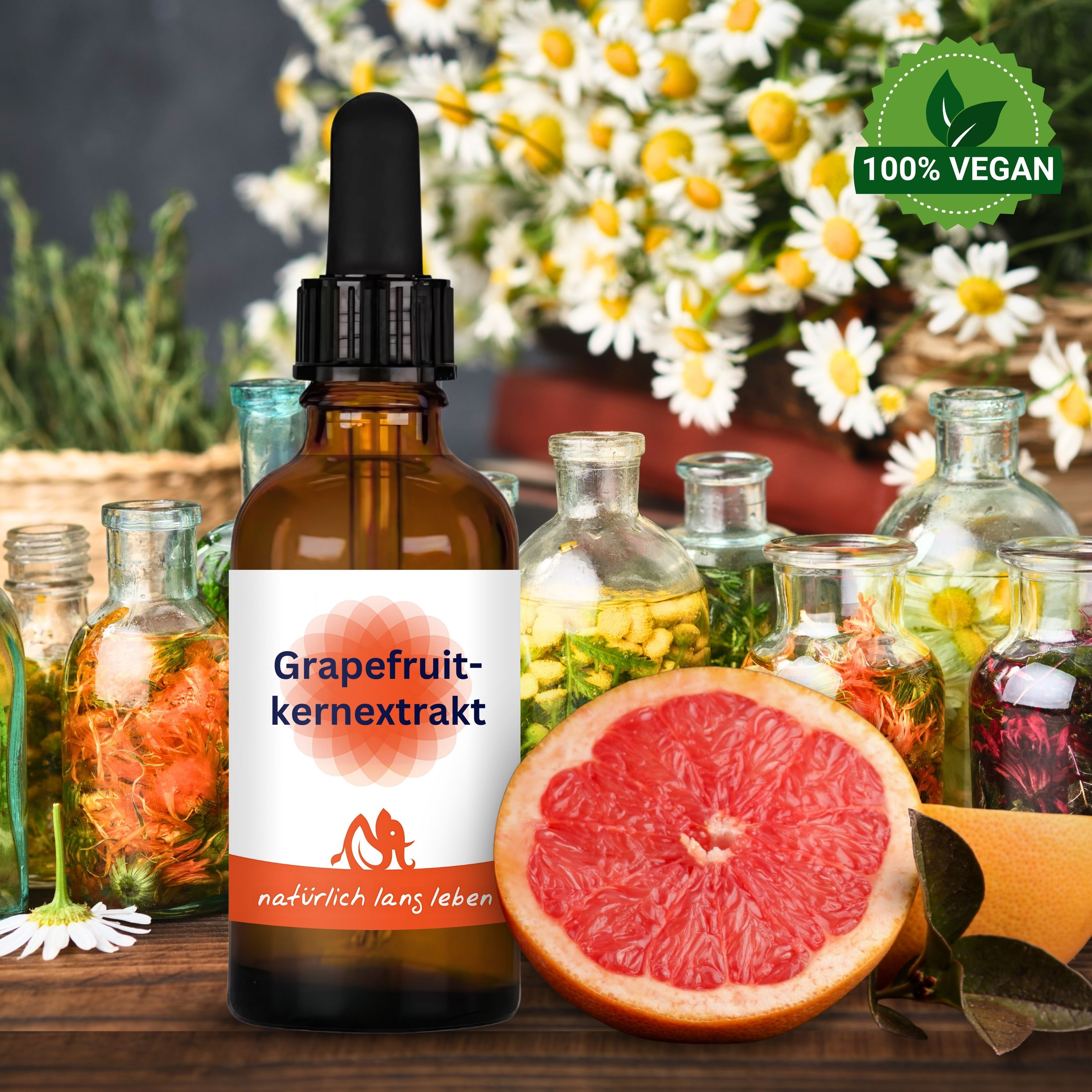 Braunglasflasche mit Tropfer, Etikett "Grapefruitkernextrakt" und Logo. Daneben Grapefruit-Hälfte und weitere Flaschen.