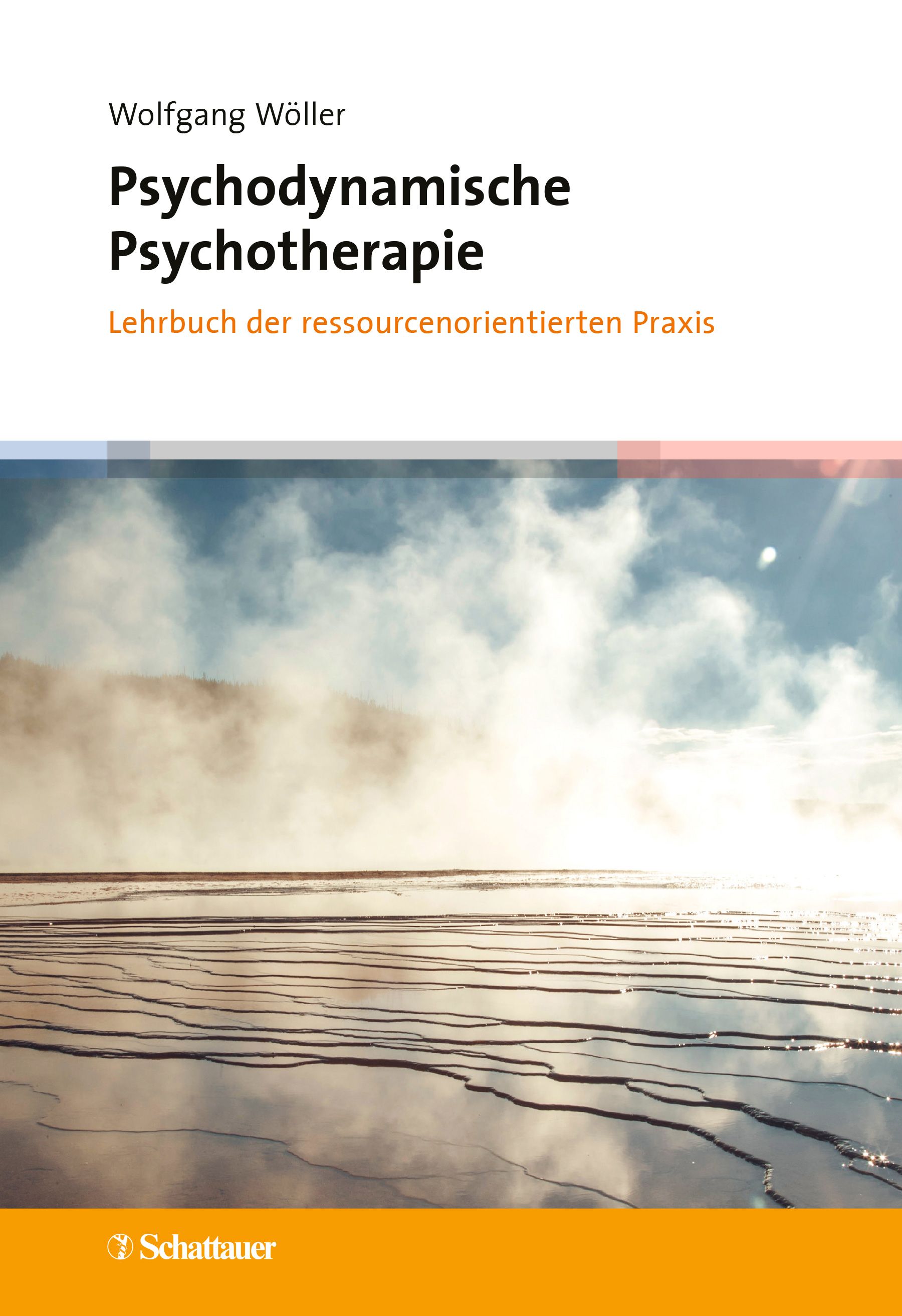 Buchcover mit Titel: Psychodynamische Psychotherapie. Autor: Wolfgang Wöller. Verlag: Schattauer. Hintergrund: Landschaft mit Nebel.