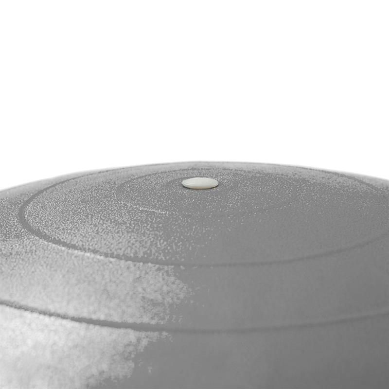ScSPORTS® Gymnastikball mit Handpumpe grau
