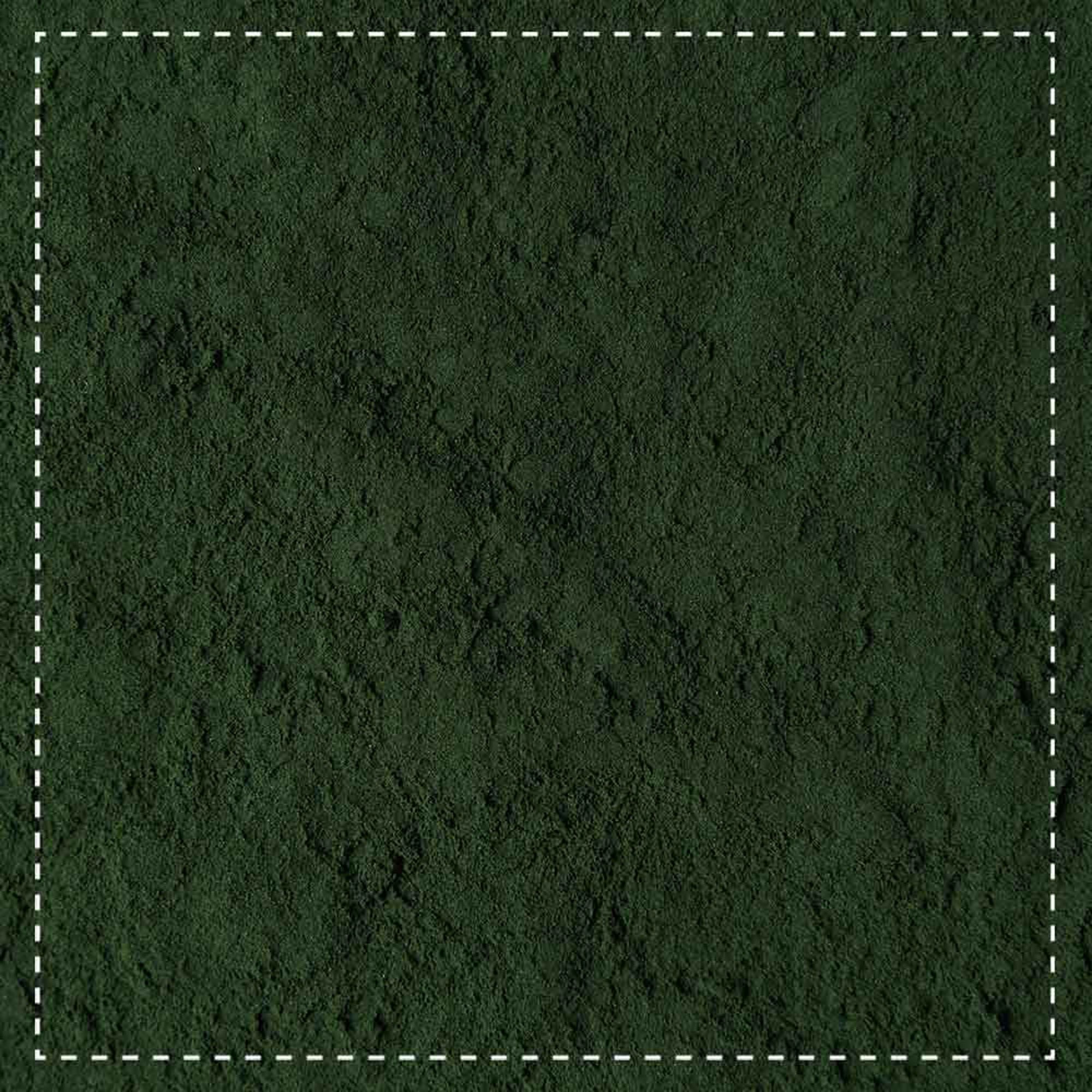 Biotiva Spirulina Pulver Bio