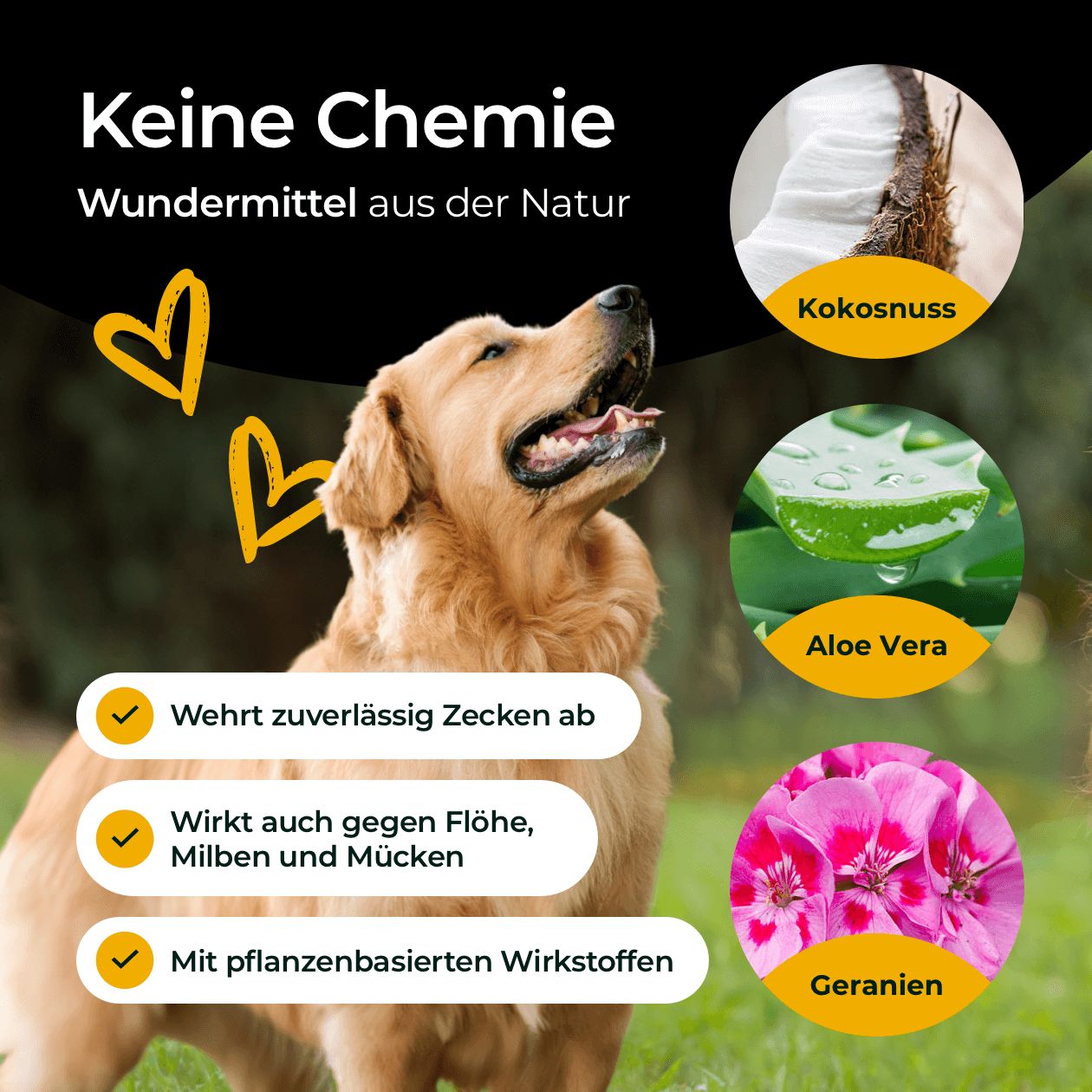 Hundpur® Zecken Tinktur mit Schutzkomplex