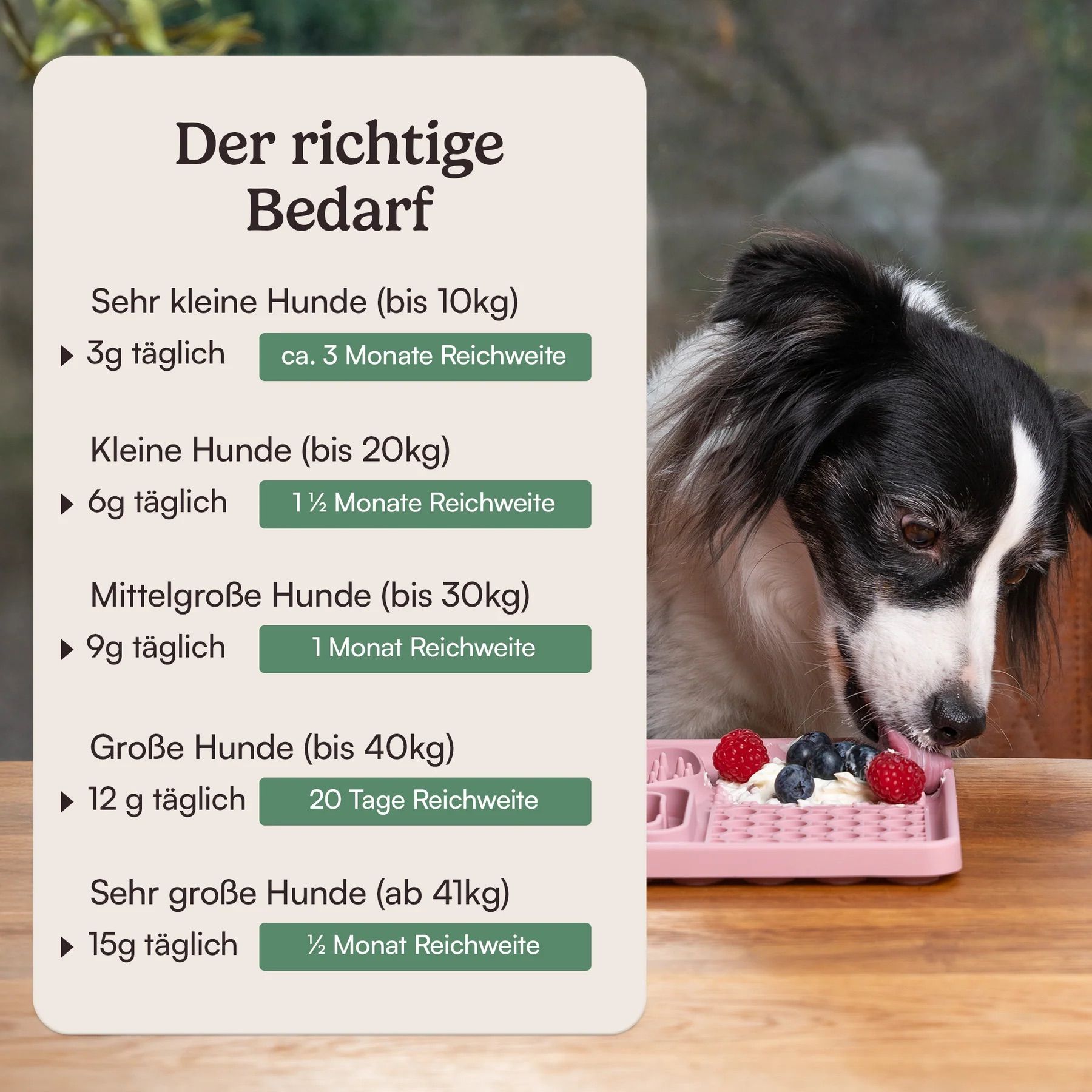 Hunderunde Futtertopping Ruhe & Gelassenheit