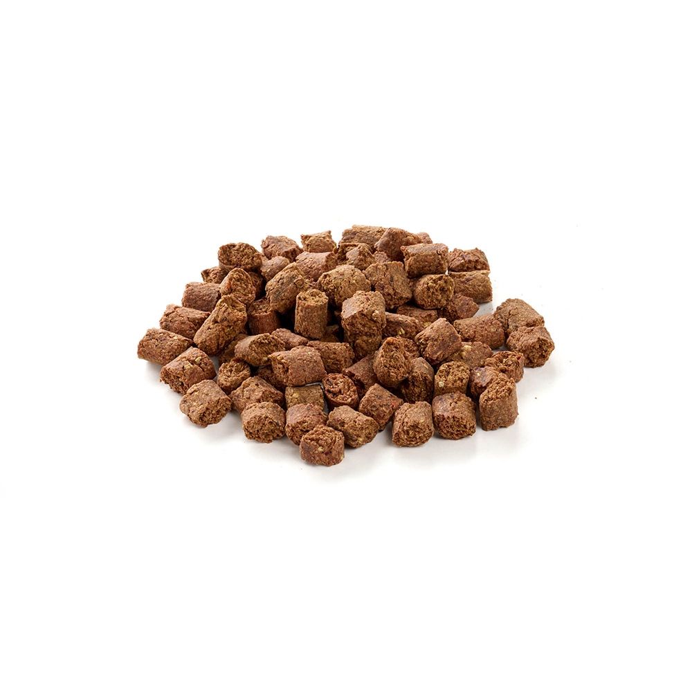 Kauartikel.com Insekten Snack 100 g