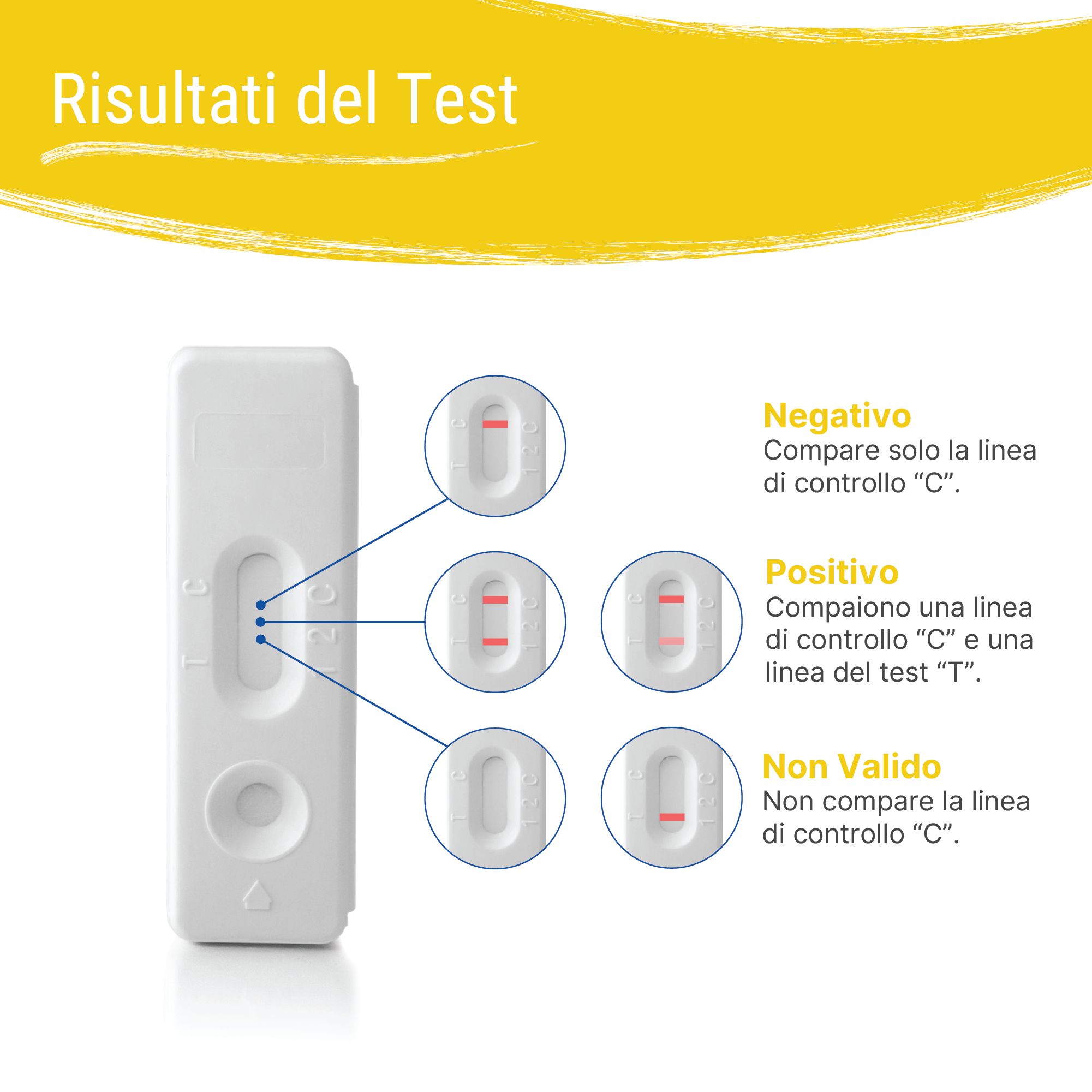 Risultati del test: Negativo, Positivo e Non valido. Rappresentazione grafica dei risultati.