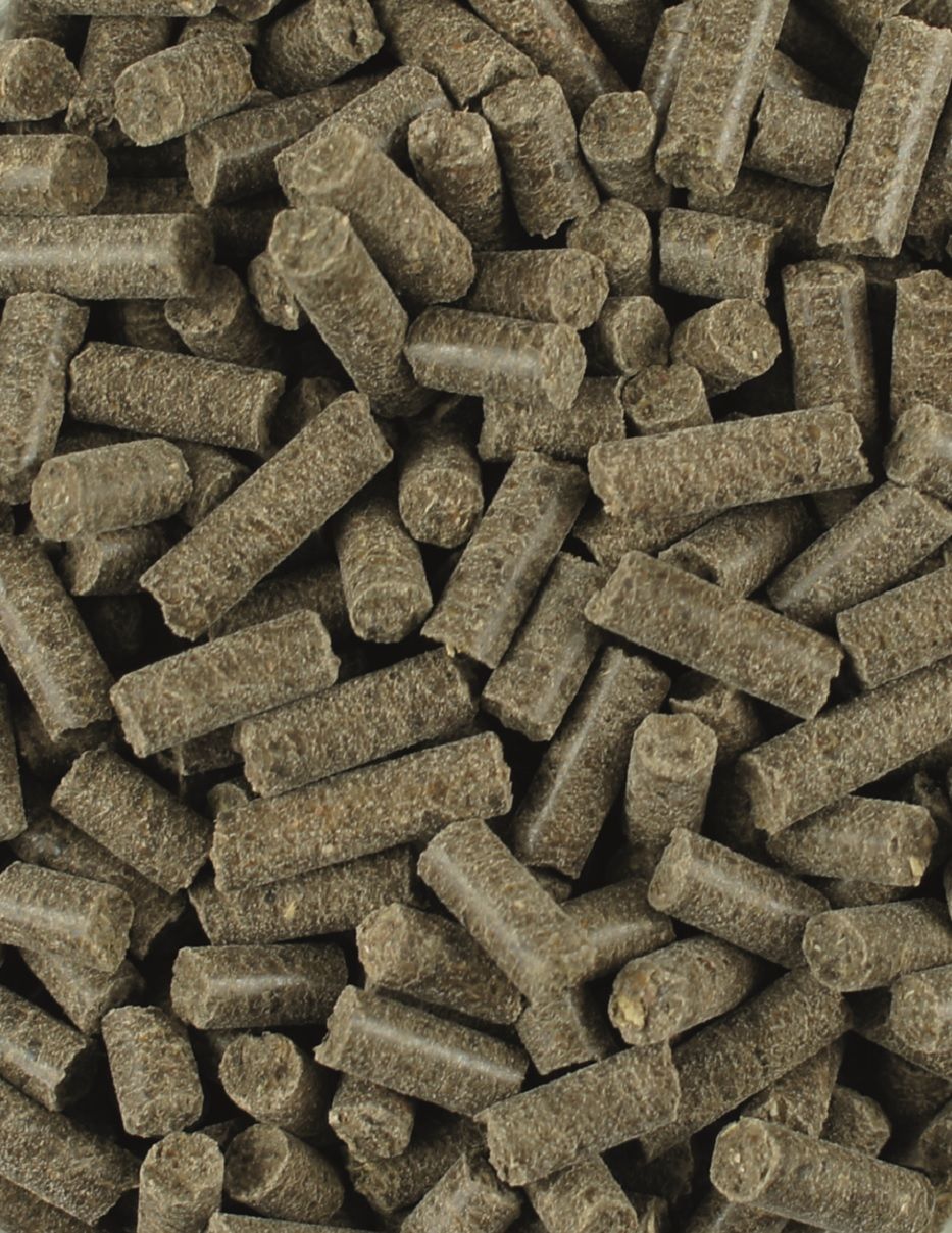 Kieselgur-Plus Pellets. Zylindrische, braune Pellets, Nahaufnahme.