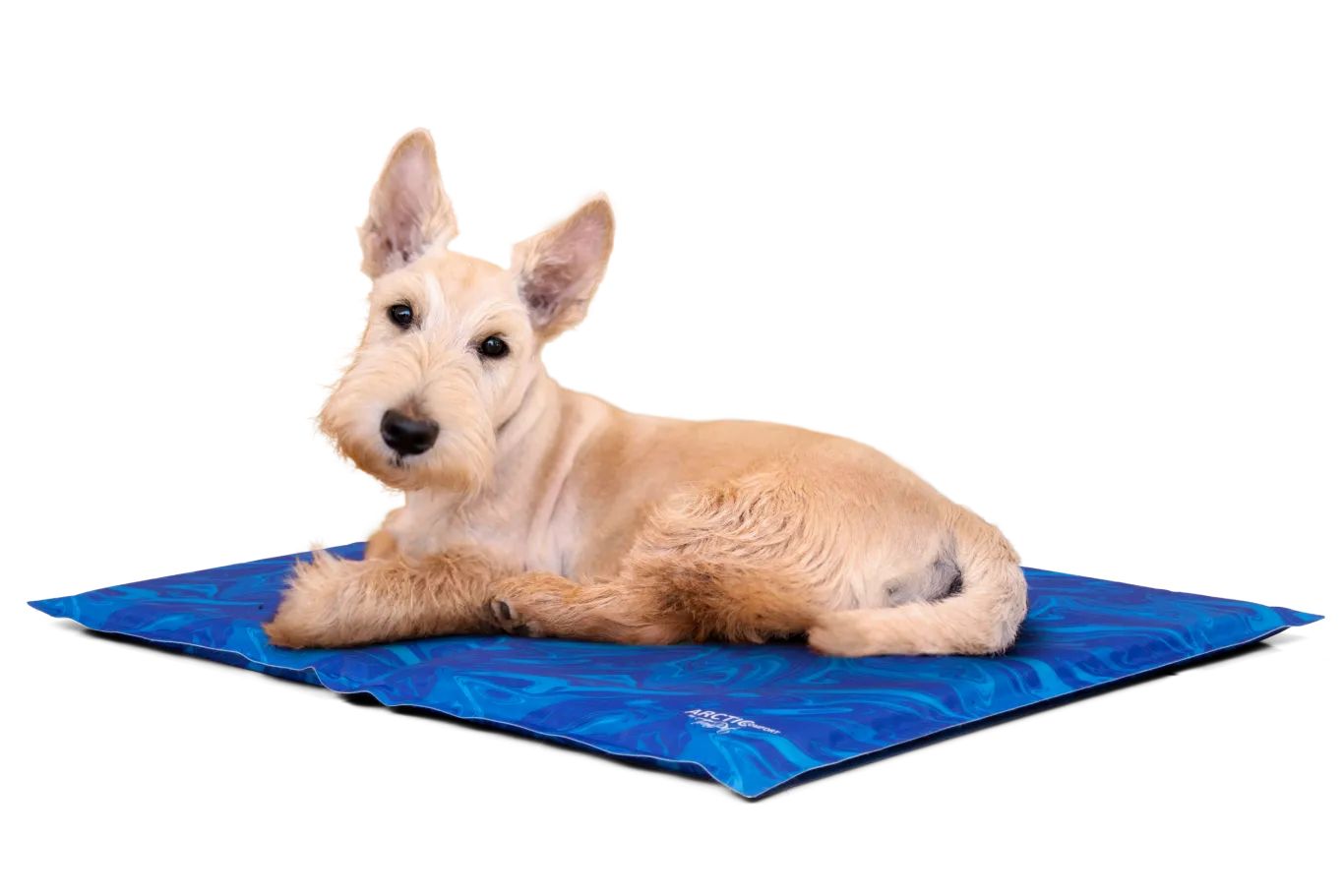 TrendPet Arctic Comfort Kühlmatte