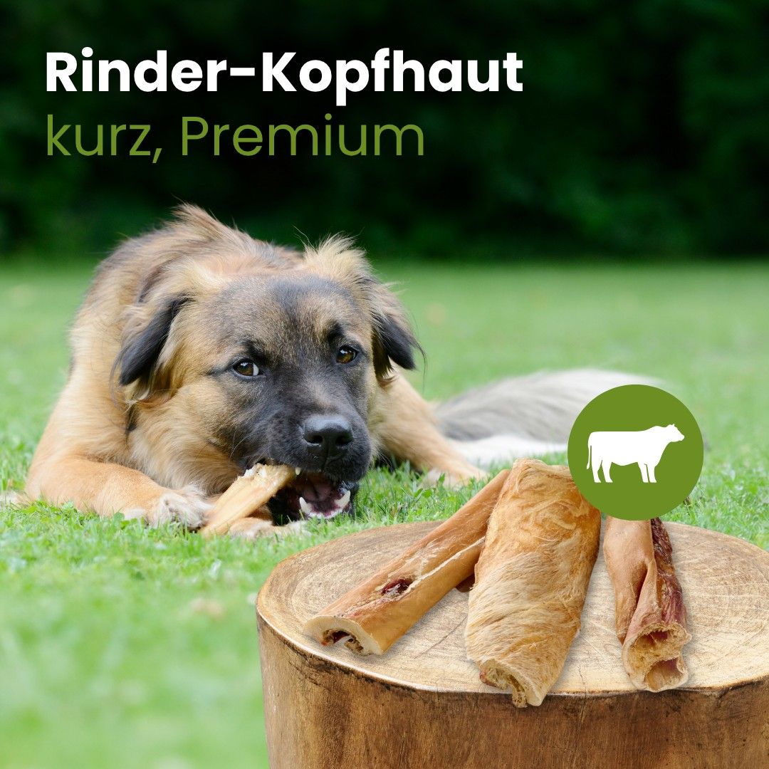 Drei getrocknete Rinderkopfhaut-Stücke auf weißem Grund.