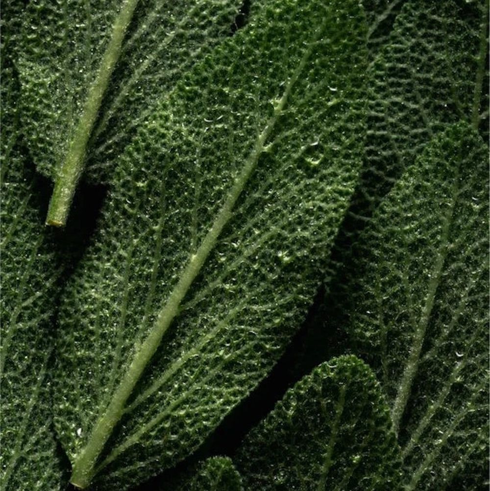 Zero Skin Gesichtsspray mit Mikrobiom-Prebiotika, feuchtigkeitsspendend für empfindliche Haut