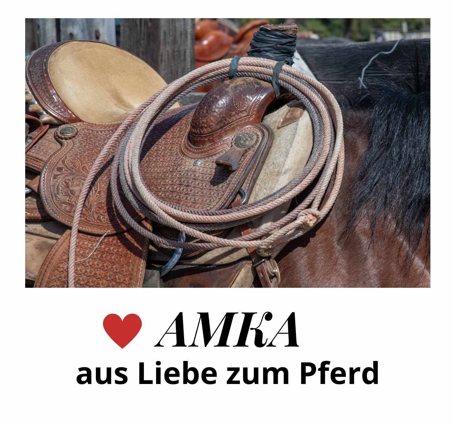 Pferd mit Sattel und Strick. Text: 'AMKA aus Liebe zum Pferd'. Herz-Symbol.