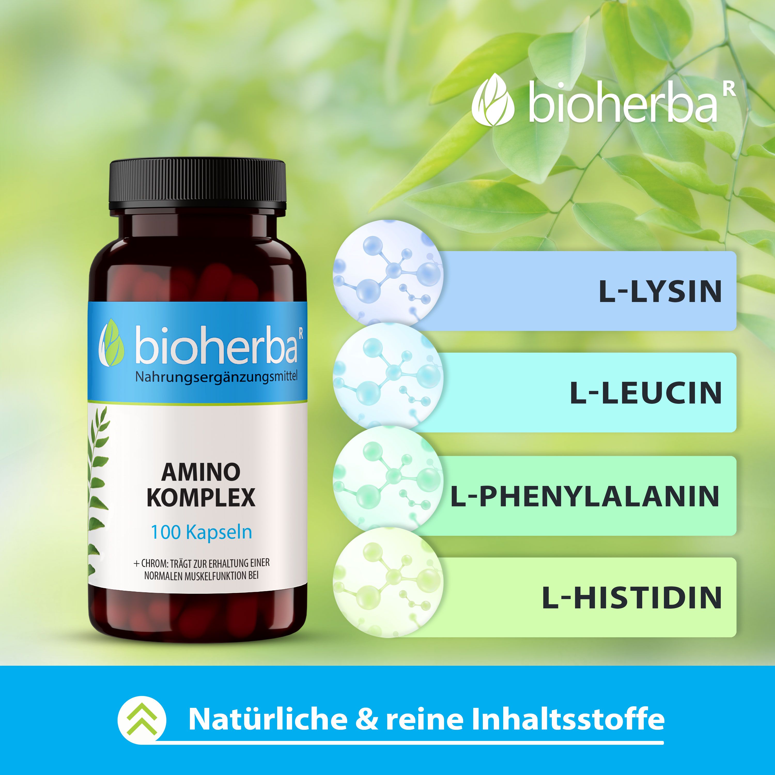 Bioherba Amino Komplex Kapseln