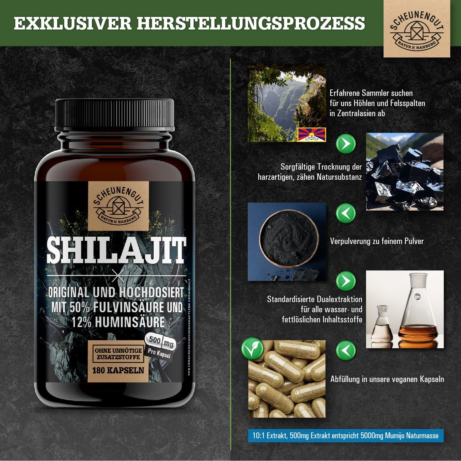Produktabbildung mit Flasche Shilajit-Kapseln und Infografik. Enthält Bilder von Rohmaterial, Pulver, Extraktion und Kapseln.