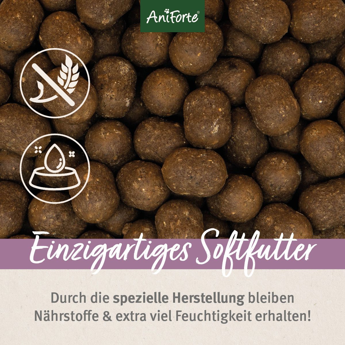 AniForte Trockenfutter. Nahaufnahme von braunen, ovalen Kroketten. Glutenfrei-Symbol. Feuchtigkeits- und Nährstoffhinweis.