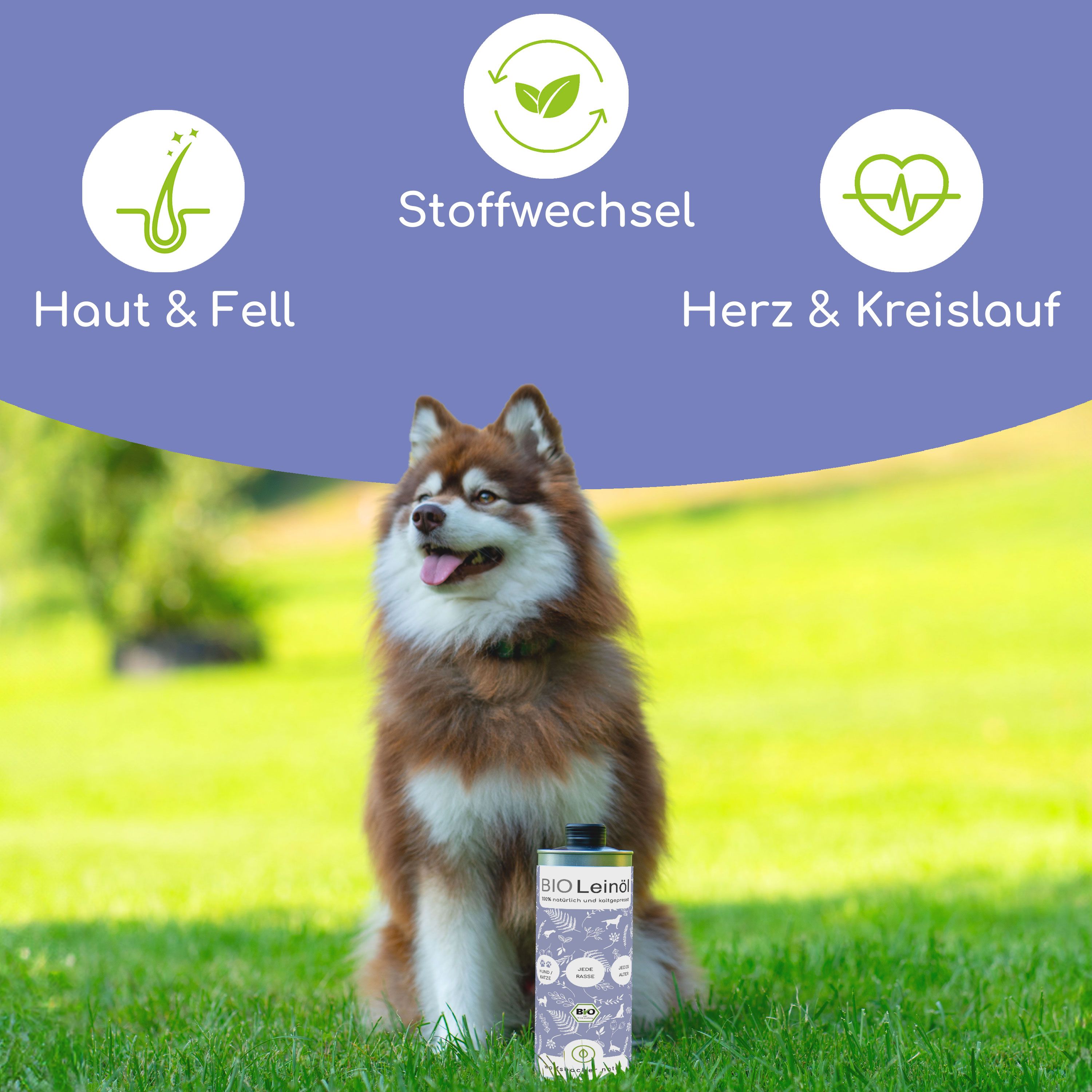 Hund sitzt im Gras neben einer Dose Bio Leinöl. Grafiken zeigen Vorteile für Haut & Fell, Stoffwechsel, Herz & Kreislauf.