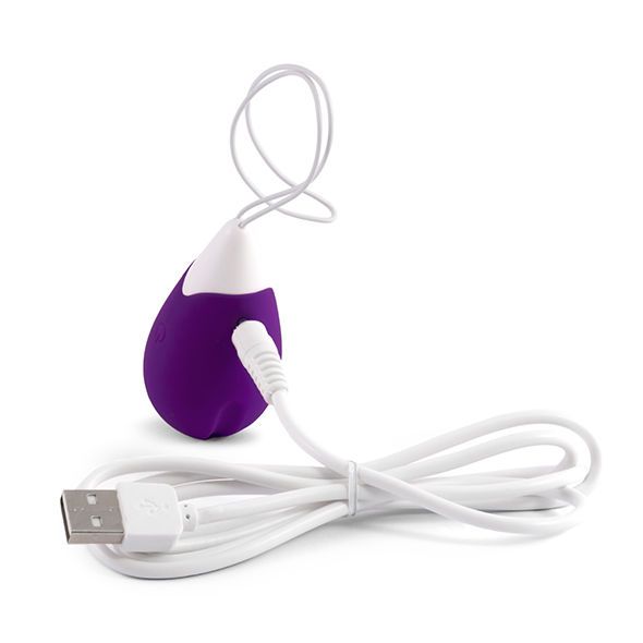 Lila Ei-förmiges Vibrations-Ei mit weißem Ende, USB-Kabel.