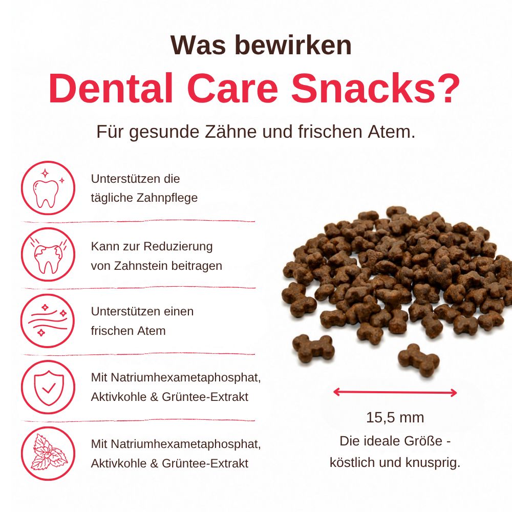 Dental Care Snacks: Hundeleckerlis, 15,5 mm groß, für gesunde Zähne und frischen Atem.