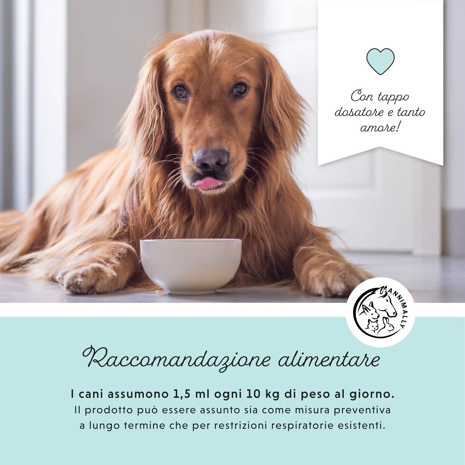 Goldener Retriever mit Schüssel. Text: Fütterungsempfehlung. Logo und Text.