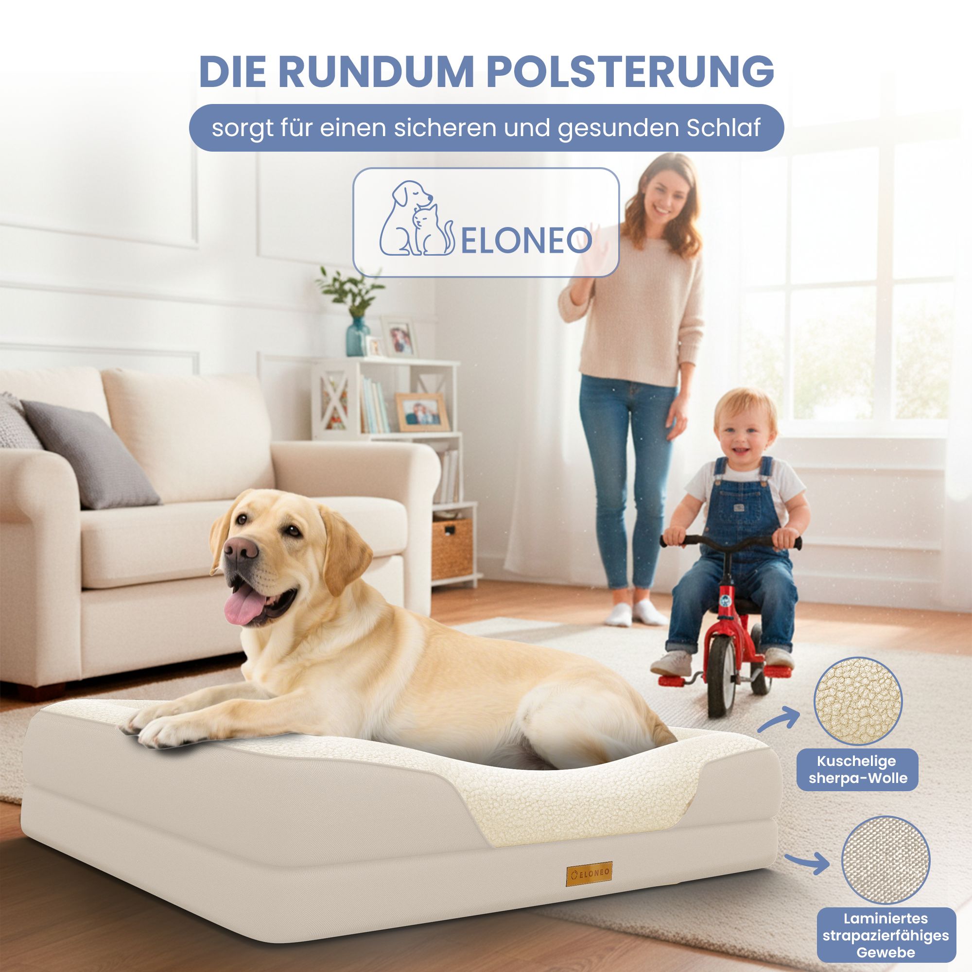 Hundebett mit Hund im Wohnzimmer. Text: Die rundum Polsterung sorgt für einen sicheren und gesunden Schlaf.