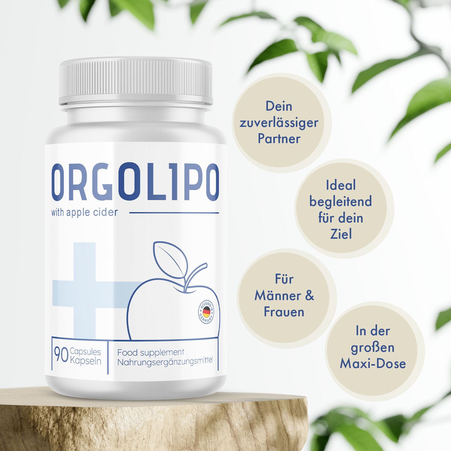 Kapsel-Dose auf Holzsockel. Text: Orgolipo, 90 Kapseln. Zusätzliche Texte: Dein zuverlässiger Partner, Ideal begleitend, Für Männer & Frauen.