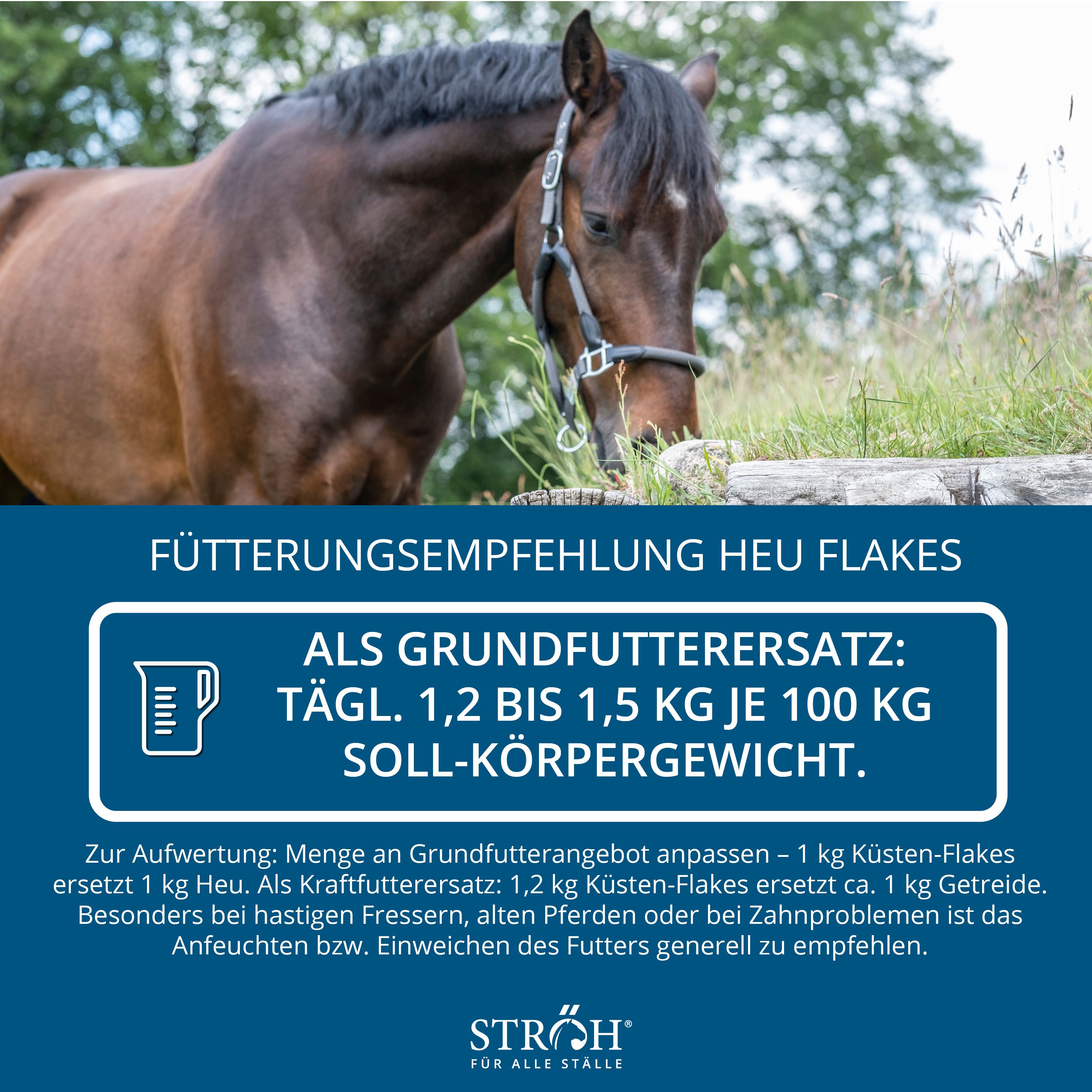 Pferd im Hintergrund, Text über Fütterungsempfehlung für Heu Flakes. Text über Dosierung. Logo "STRÖH".