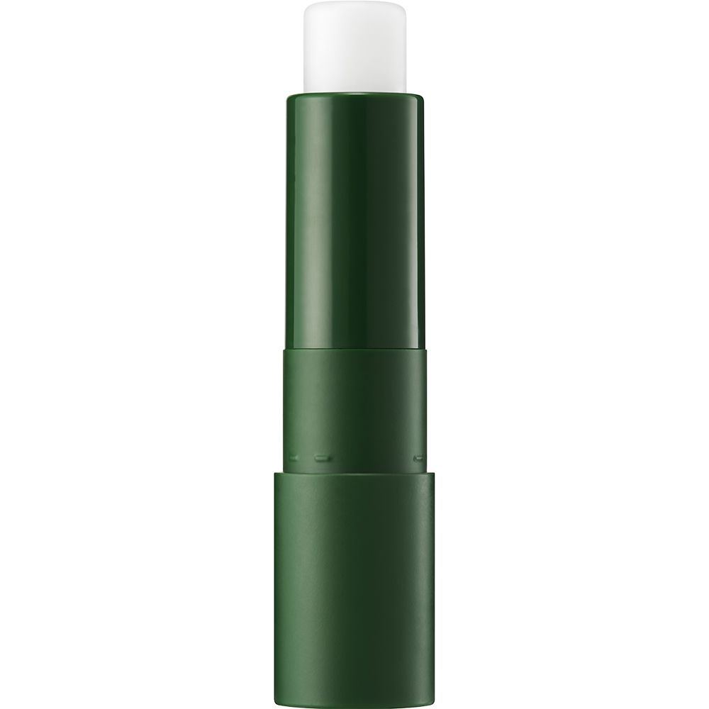 SKINFOOD Avocado Stick Lip Lip balm 3,5