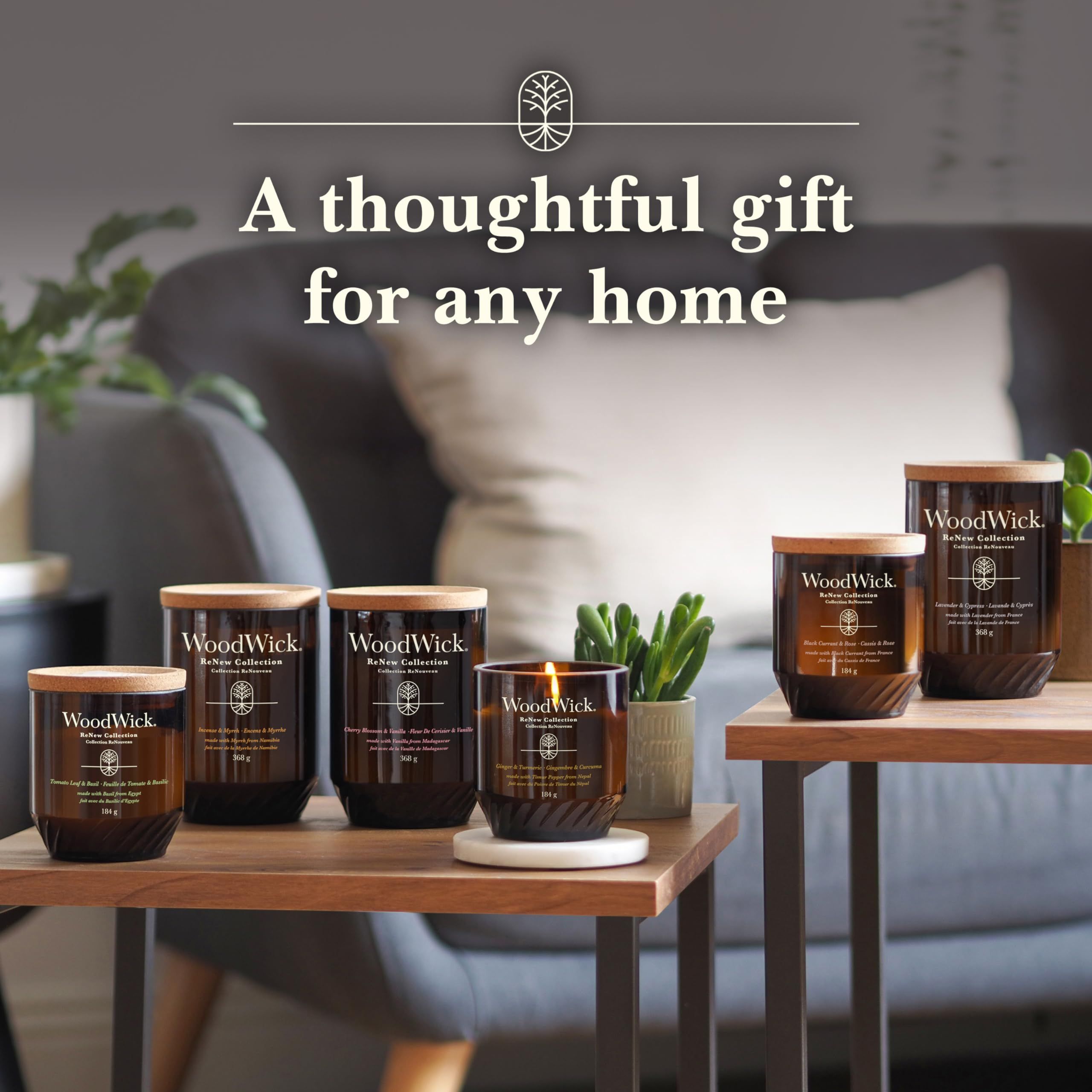 Mehrere Kerzen mit Korkdeckeln. Aufschrift: WoodWick. Auf Tischen platziert. Eine Kerze brennt.