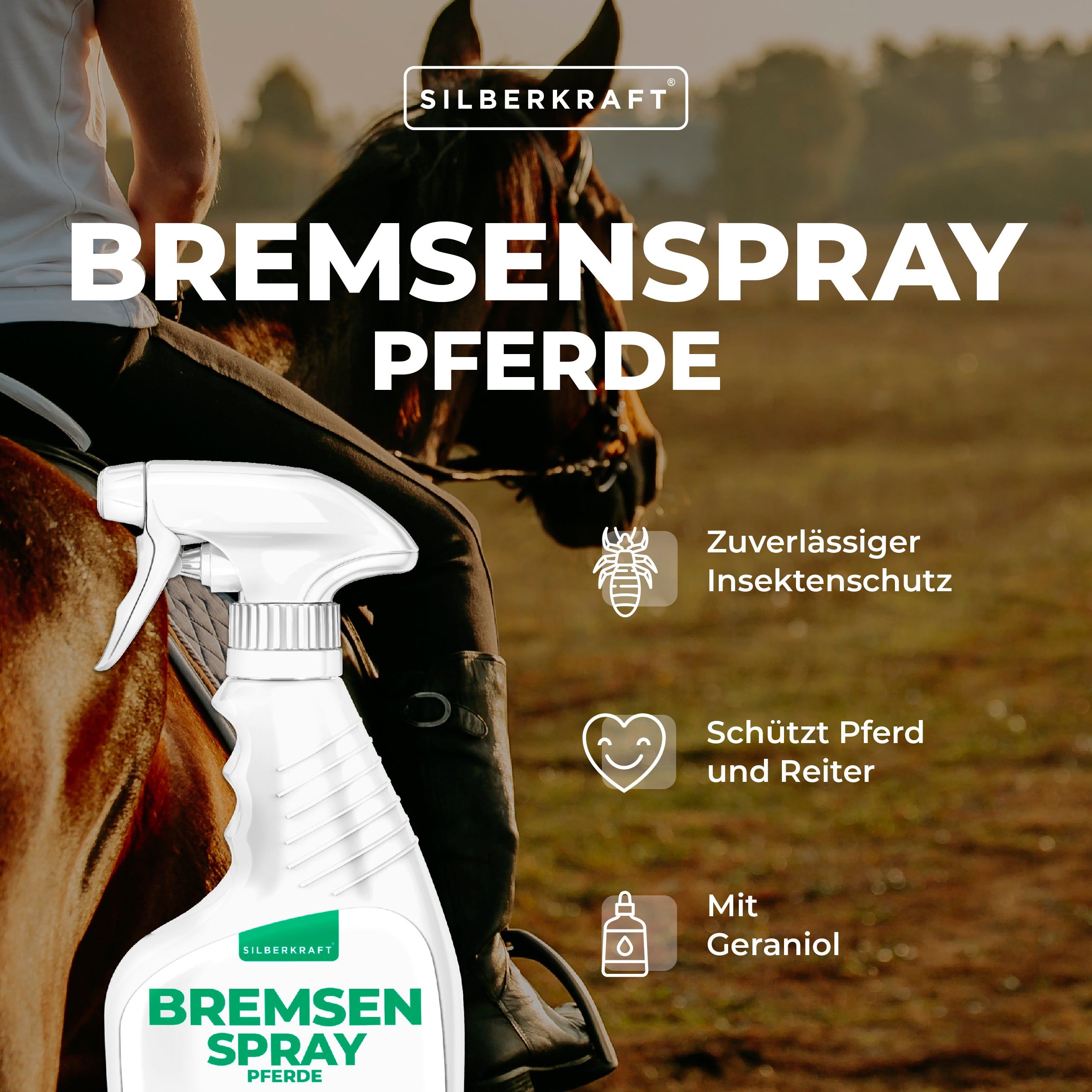 Silberkraft Bremsen-Spray für Pferde 12x500 ml Spray