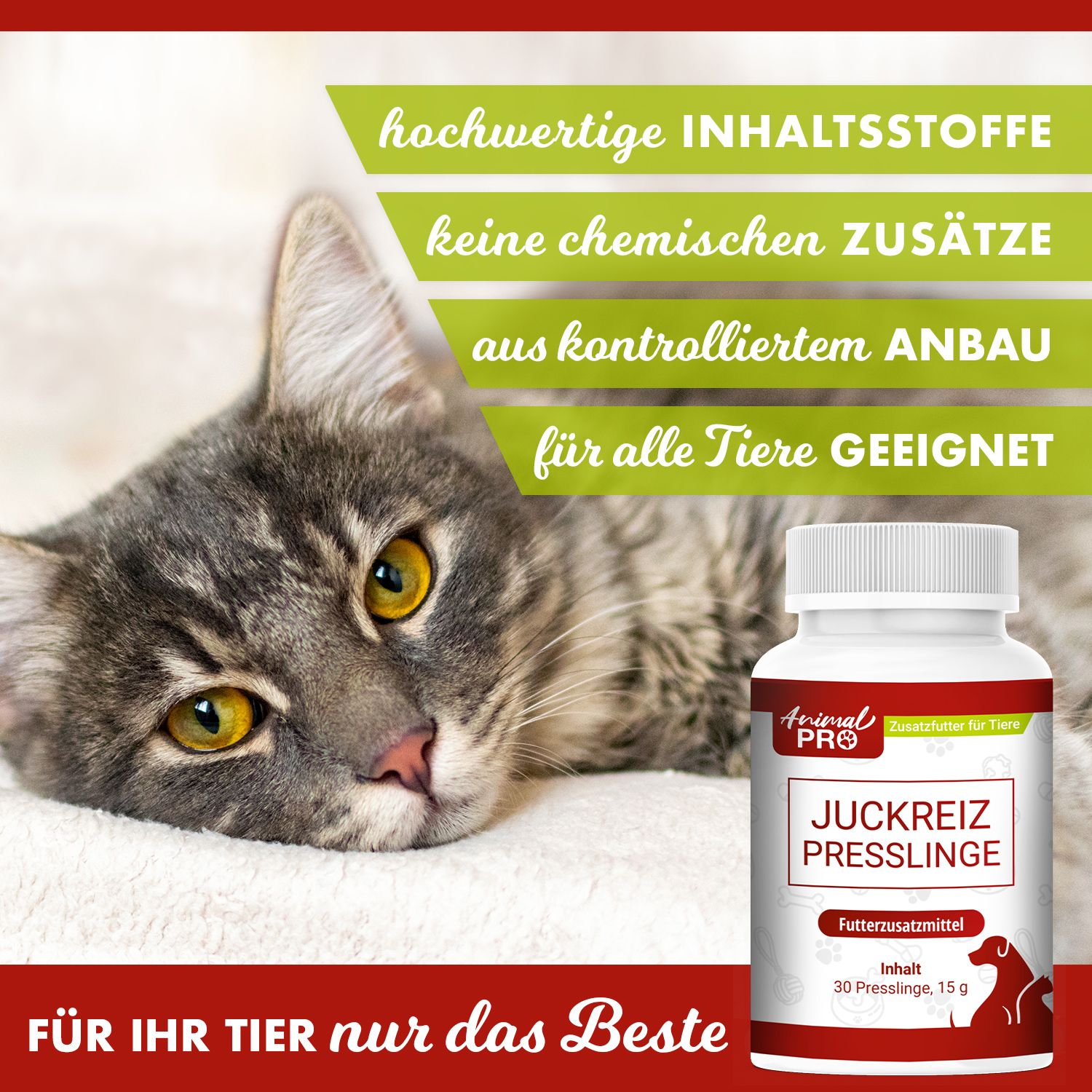 Katze auf Decke neben Flasche. Aufschrift: Animal Pro, JCKRZ Presslinge, Futterzusatzmittel. Enthält 30 Presslinge, 15 g. Text: Für Ihr Tier nur das Beste.