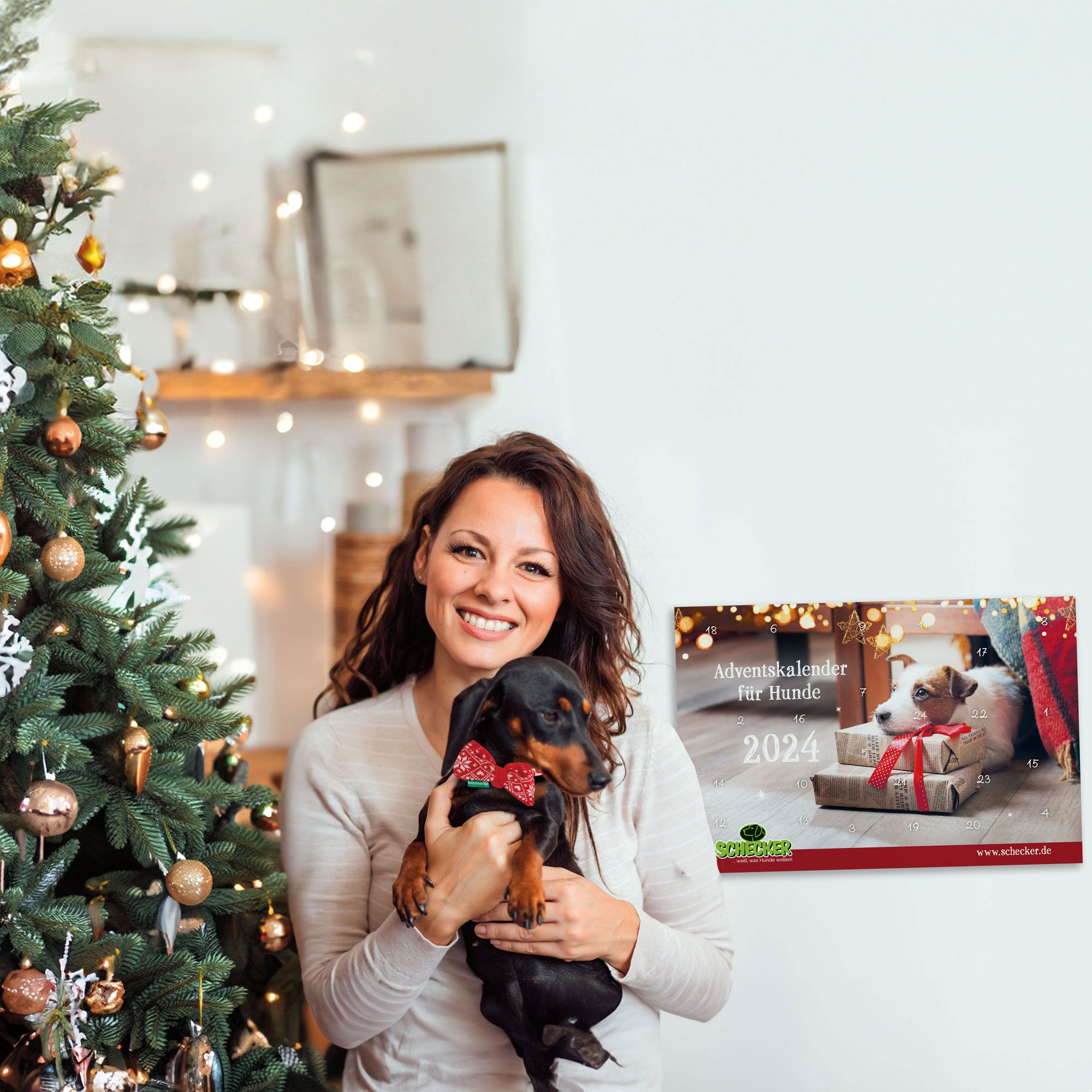 Schecker Hunde Adventskalender