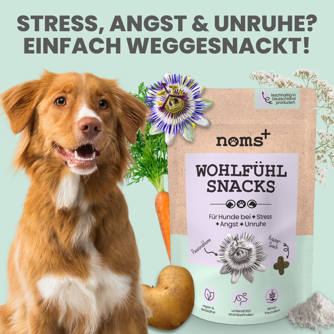 noms+ Wohlfühlsnacks für Hunde bei Stress, Angst, Unruhe & Hyperaktivität 125 g