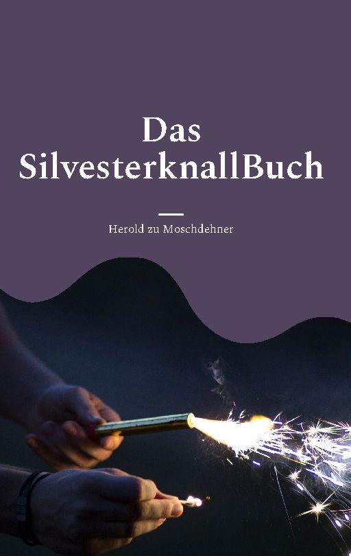 Buchcover mit Titel "Das SilvesterknallBuch" und Autorenangabe. Helle Schrift auf dunklem Hintergrund. Feuerwerk.