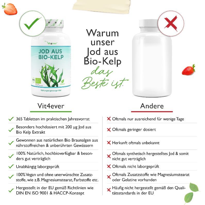 vit4ever - Bio Kelp Extrakt