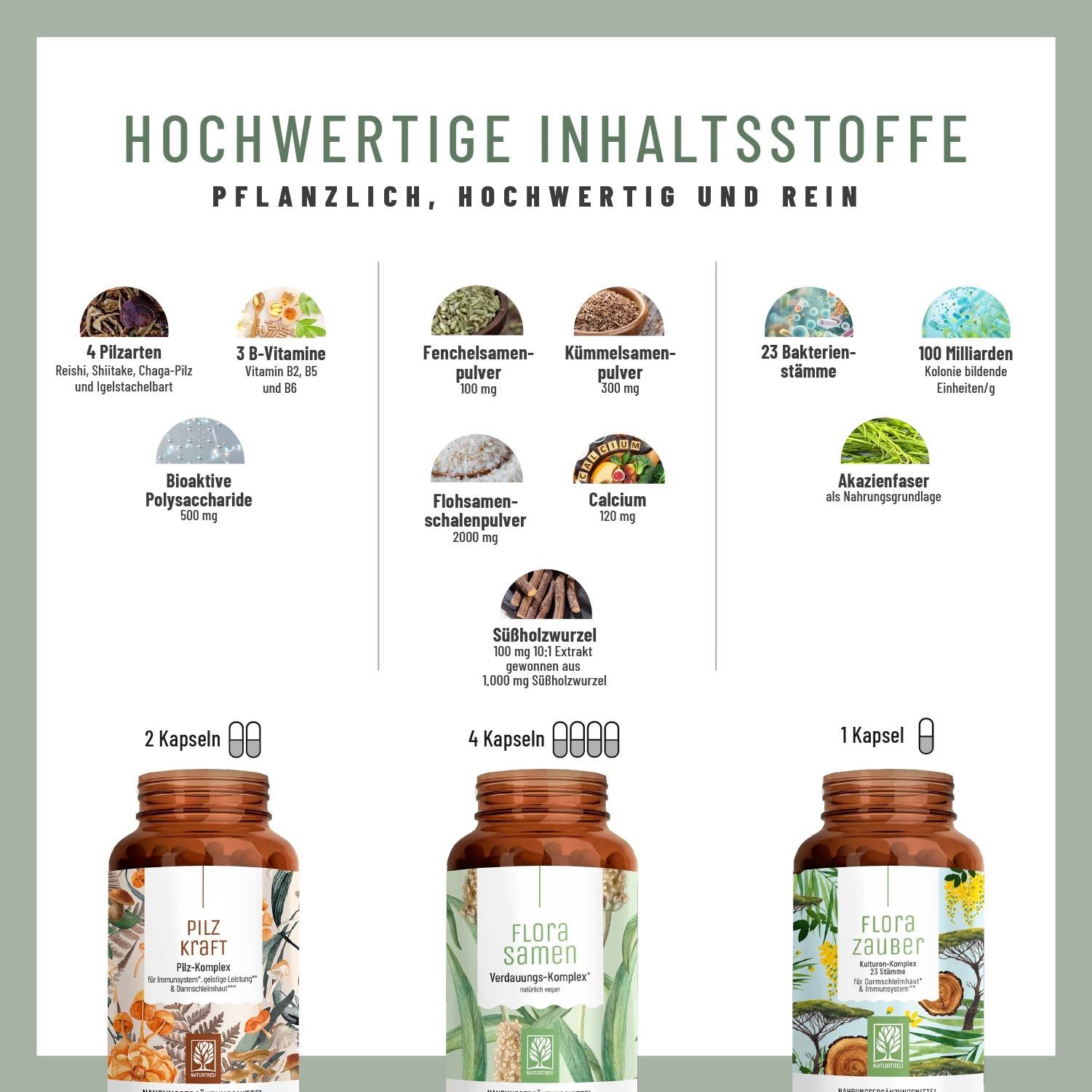 Flora Balance-Paket: FLORASAMEN, FLORAZAUBER & PILZKRAFT - NATURTREU®