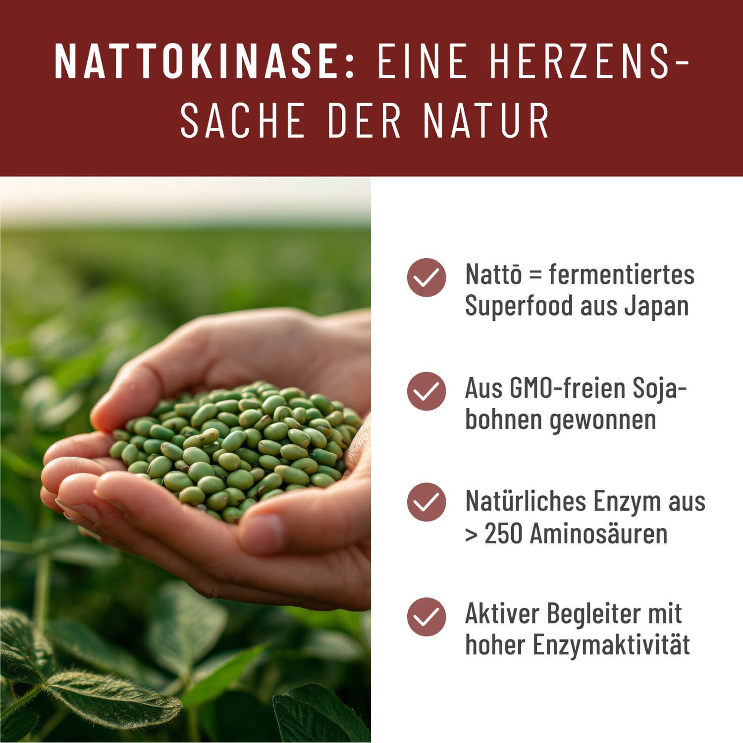 Hände halten grüne Kapseln. Text: Nattokinase. Weitere Texte: fermentiertes Superfood, aus GMO-freien Sojabohnen, natürliches Enzym, aktiver Begleiter.