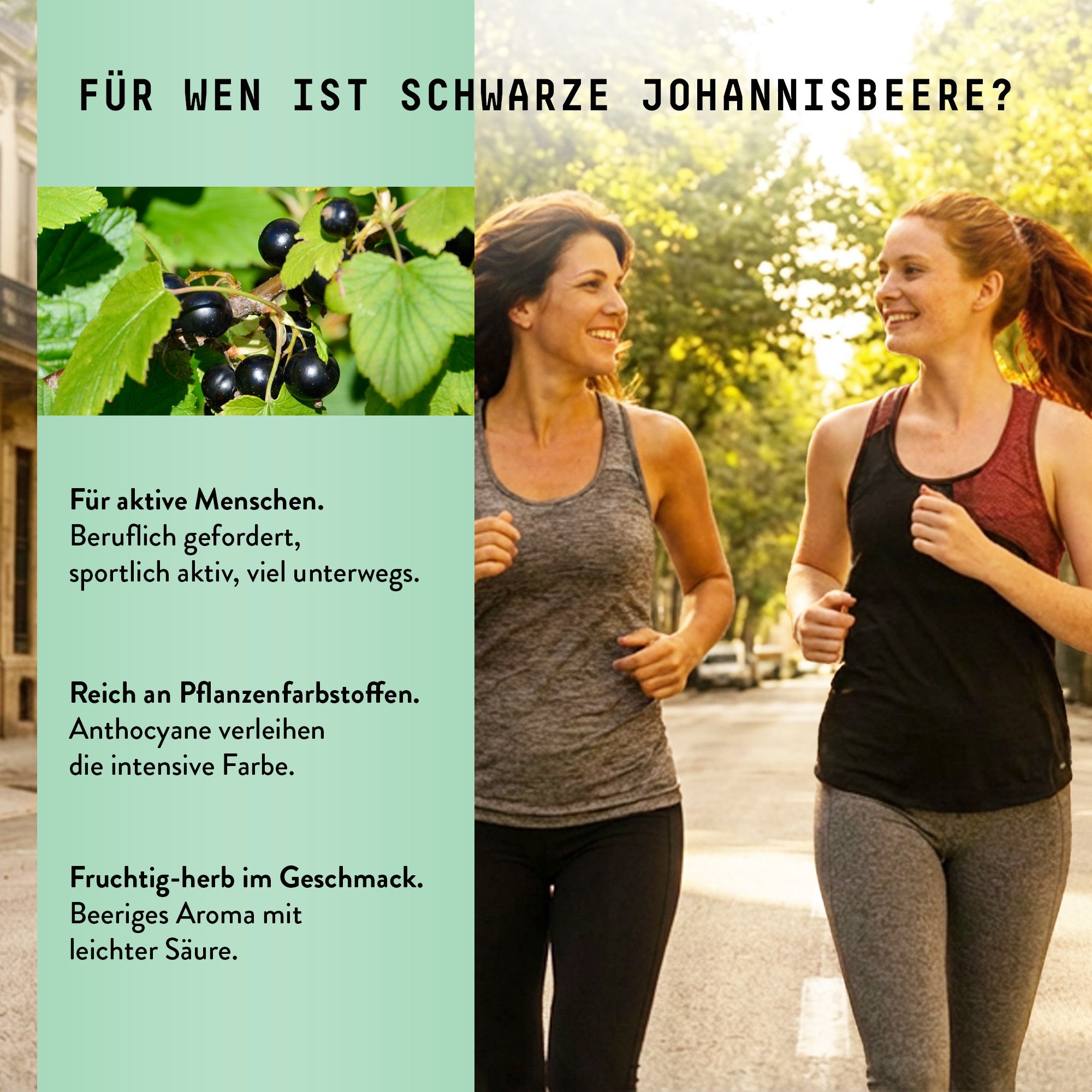 Marishanti Schwarze Johannisbeere Extrakt – alkoholfrei