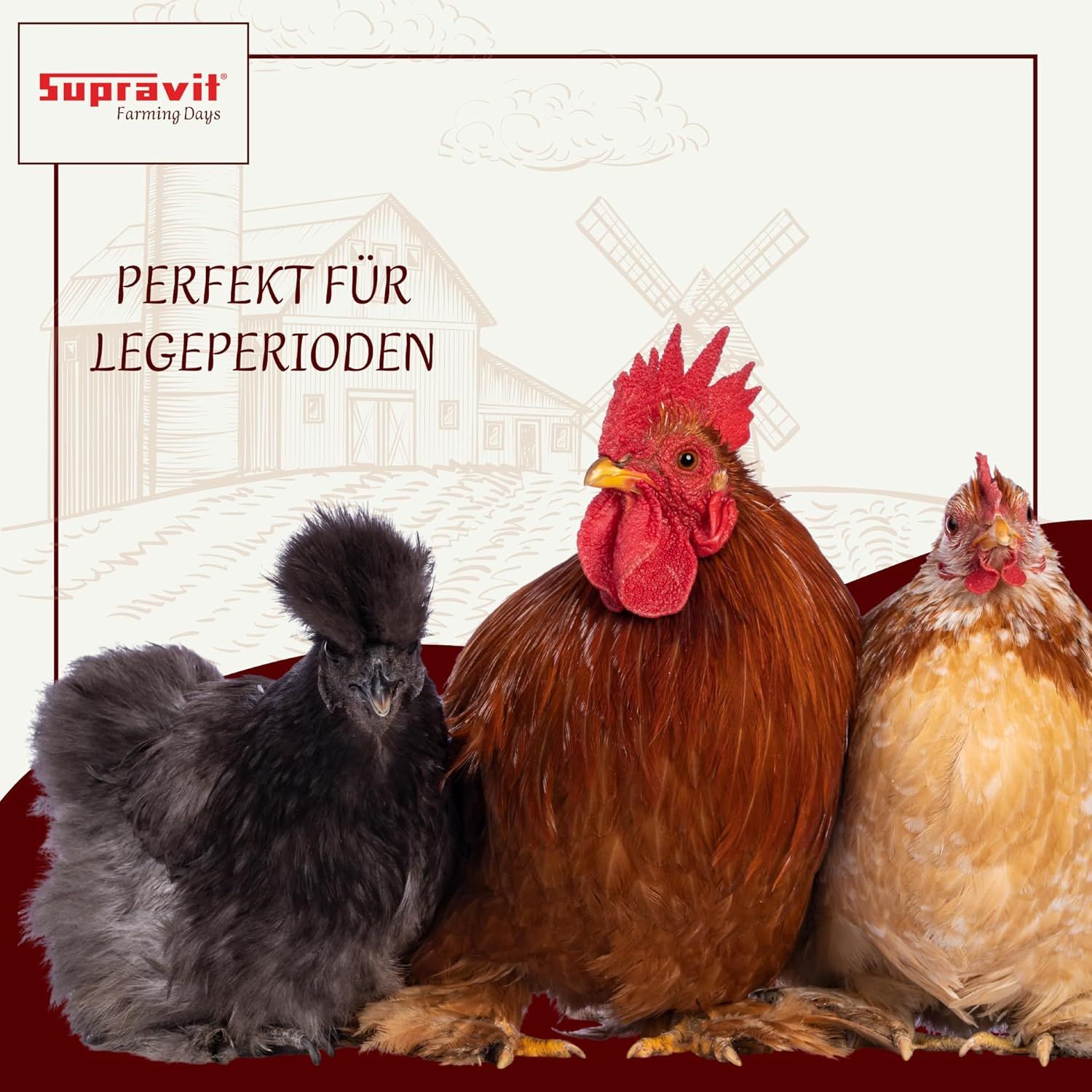 Supravit Legemehl für Hühner GVO - Gentechnik frei | für stabile Eierschalen und hohe Legeleistung