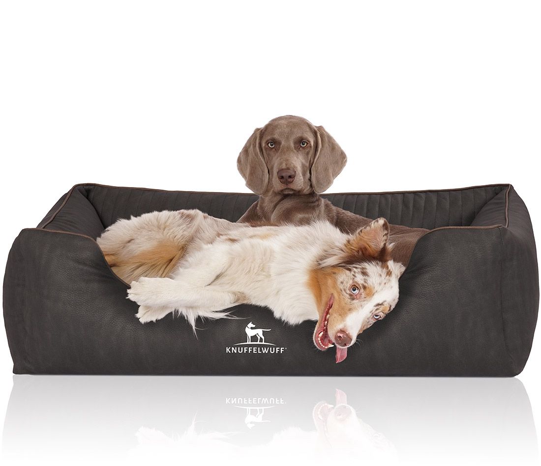 Hundebett mit zwei Hunden. Ein Hund liegt, einer sitzt. Logo: Knuffelwuff. Dunkelgraues Hundebett.