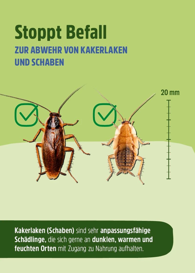 Grafik mit zwei Kakerlaken und Text: Stoppt Befall. Text über die Abwehr von Kakerlaken. Maßangabe 20 mm.