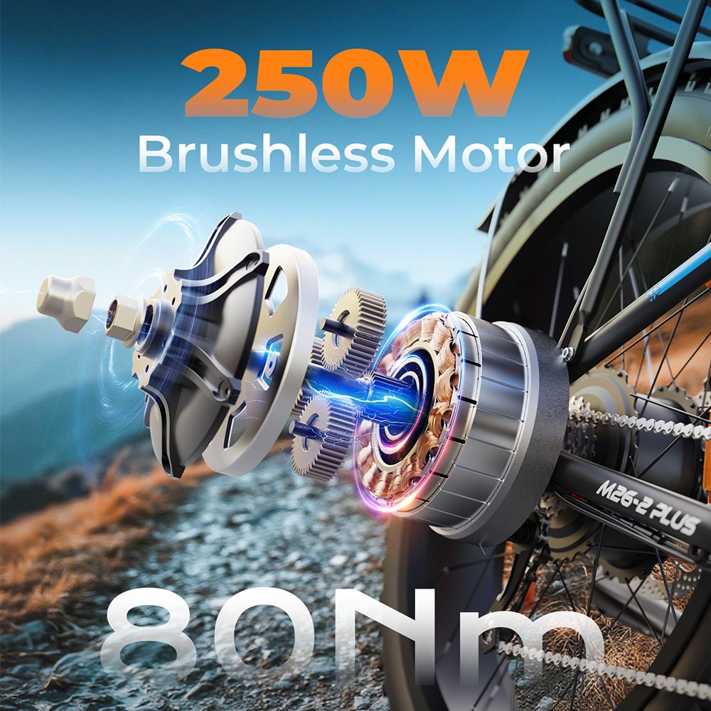 Explosionszeichnung des Motors eines E-Bikes. Text: 250W Brushless Motor, 80Nm.