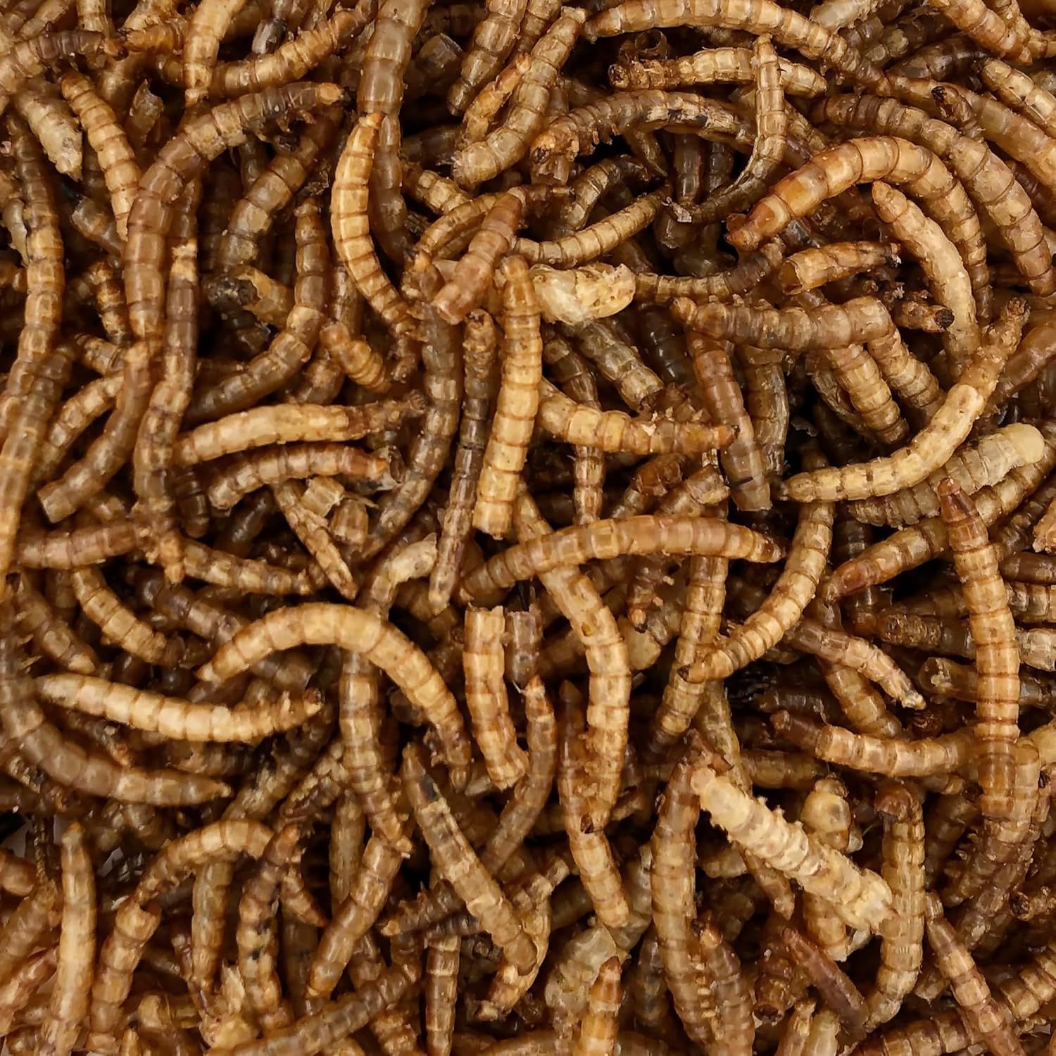 Orni Mehlwürmer getrocknet | Premium Insektenfutter für Wildvögel, Igel & Eichhörnchen